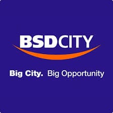 Logo BSD City