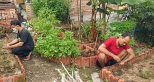 Membuat Rencana Tata Letak Kebun