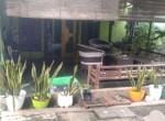 IMG-20241112-WA0013