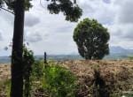 Kebun Duren Murah